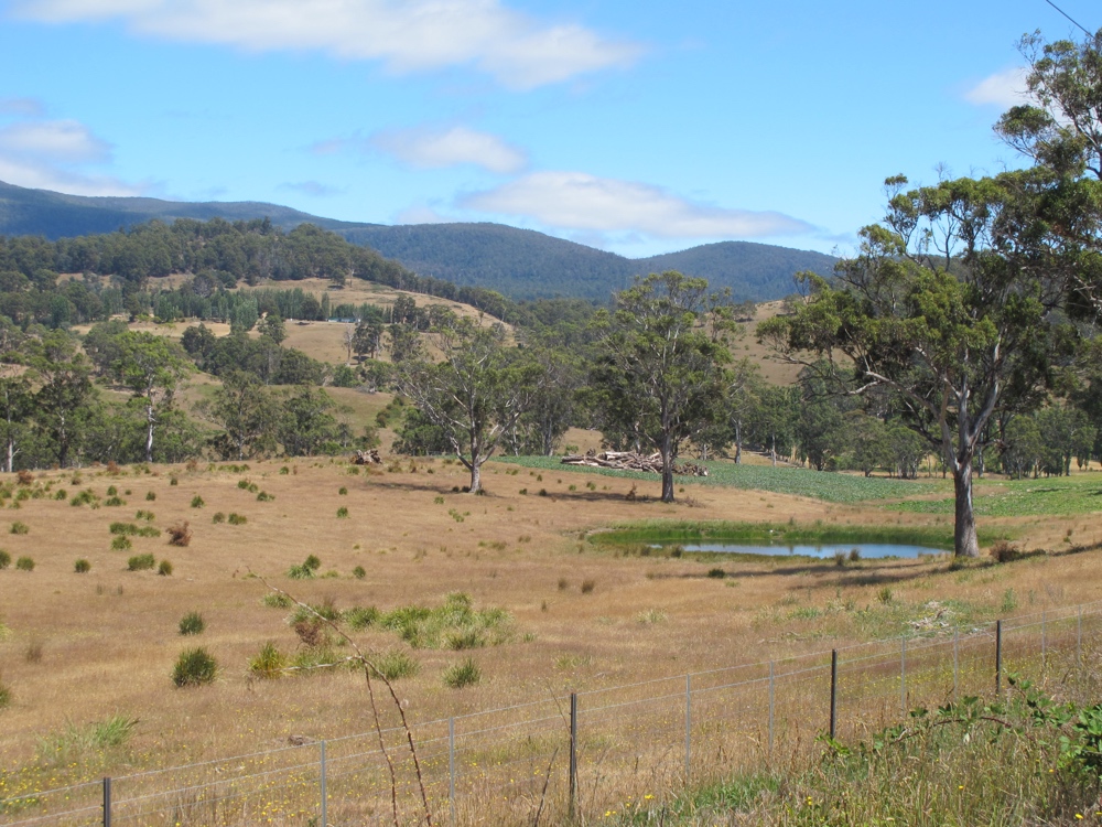 Scenery along A10.