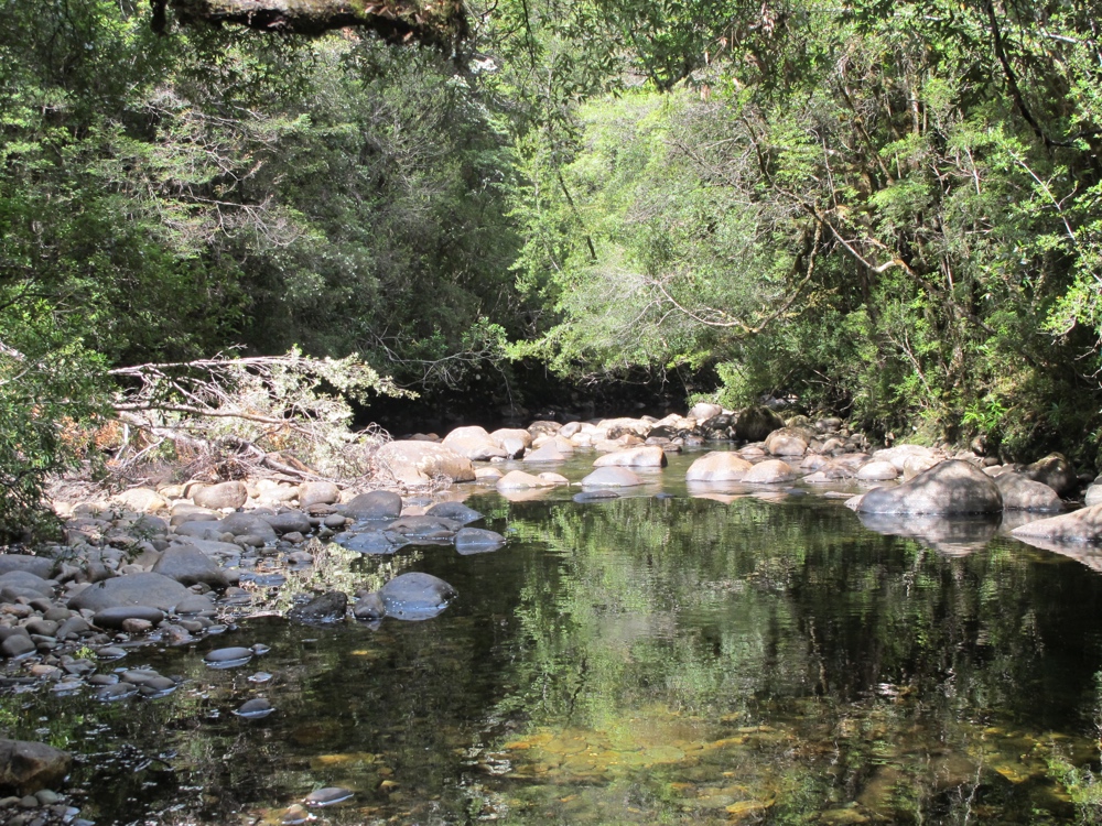 This river was pretty clearly on the low side, but still &#8211; water!