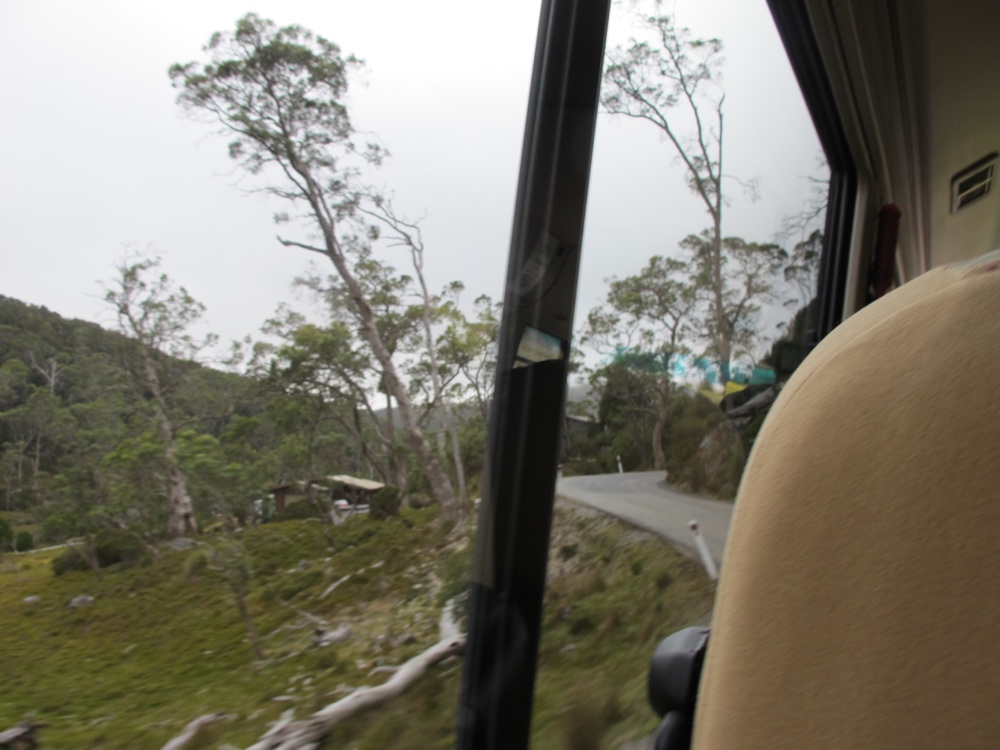 It was hard to get a good shot, but this road was two way with largish shuttles going both ways. The shuttle drivers keep each other informed of their location via radio, so can avoid running into each other around blind turns. But the tourists in their own vehicles don’t have those radios. They encourage everyone to take the shuttles instead of driving and I can see why.