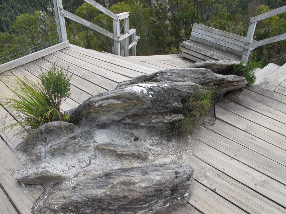 The viewing platform even had a cute rocky crevice garden in the center.