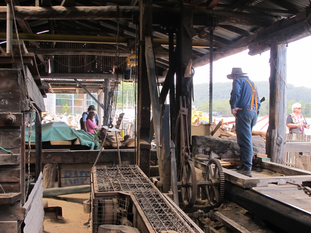 Sawing Huon Pine.