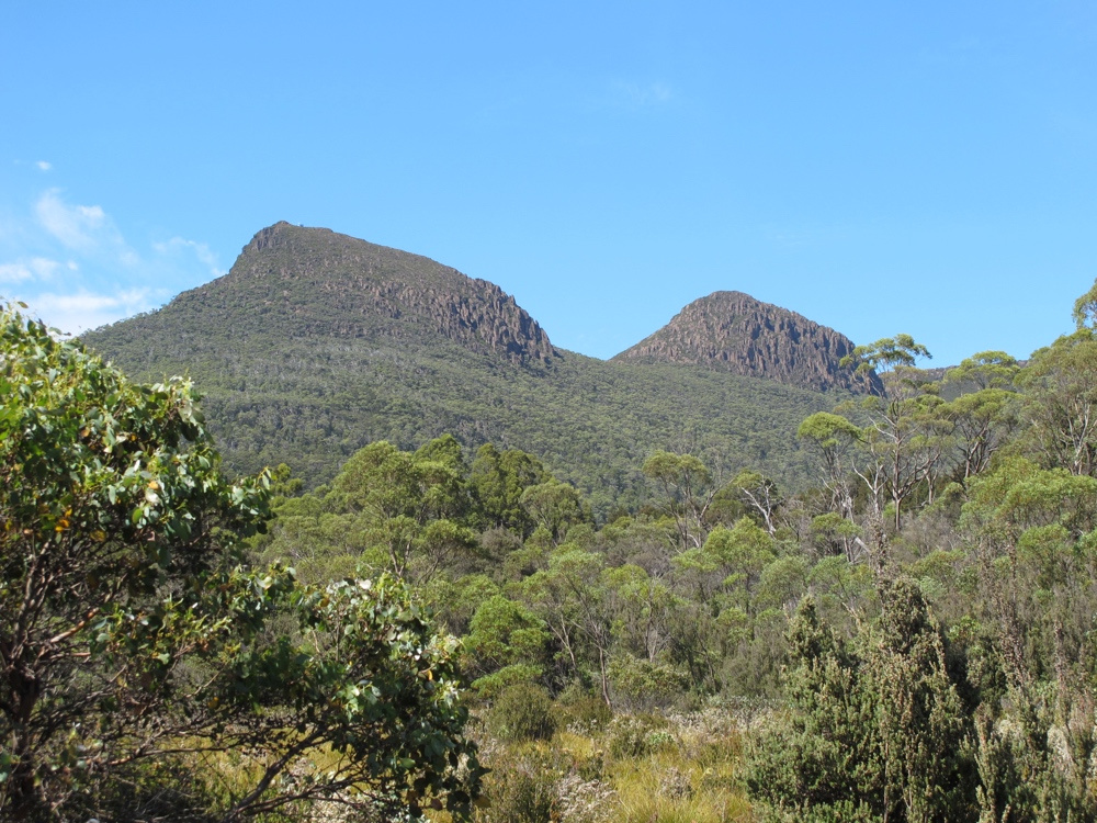 Buttongrass, eucalyptus, and jagged dolerite peaks for the first part of the day.