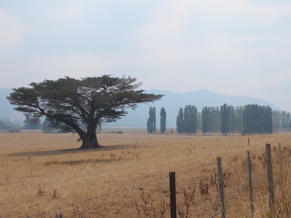 Smoke obscuring the hills.