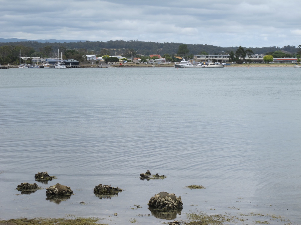 St. Helens from across the bay.