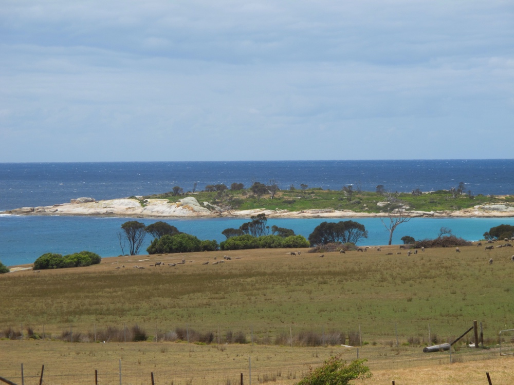 Sunny coastline