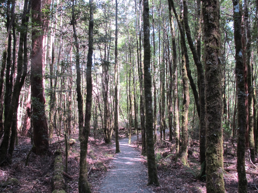 The trail was peaceful and easy.