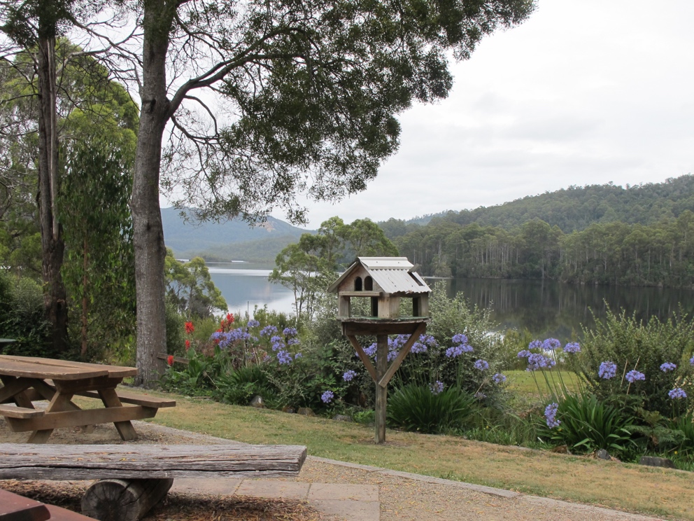 View from the cafe.