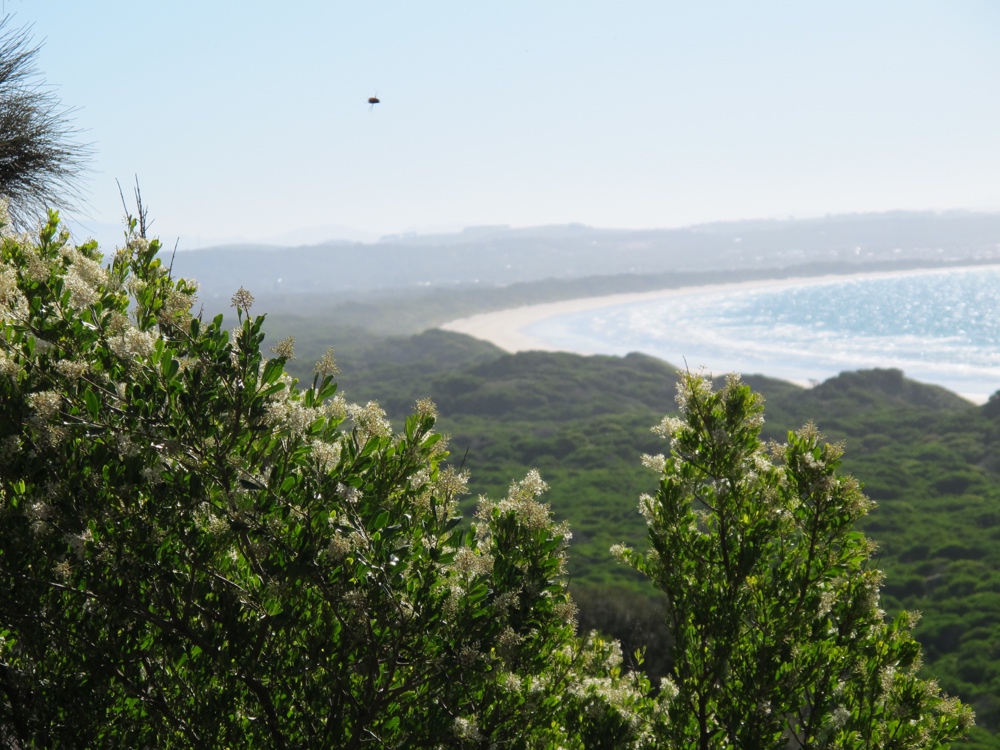 I didn&#8217;t intend to walk up this hill, but it did give a nice view of the beach.