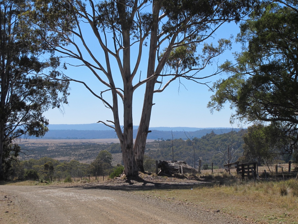 Climbing hills earns views sometime